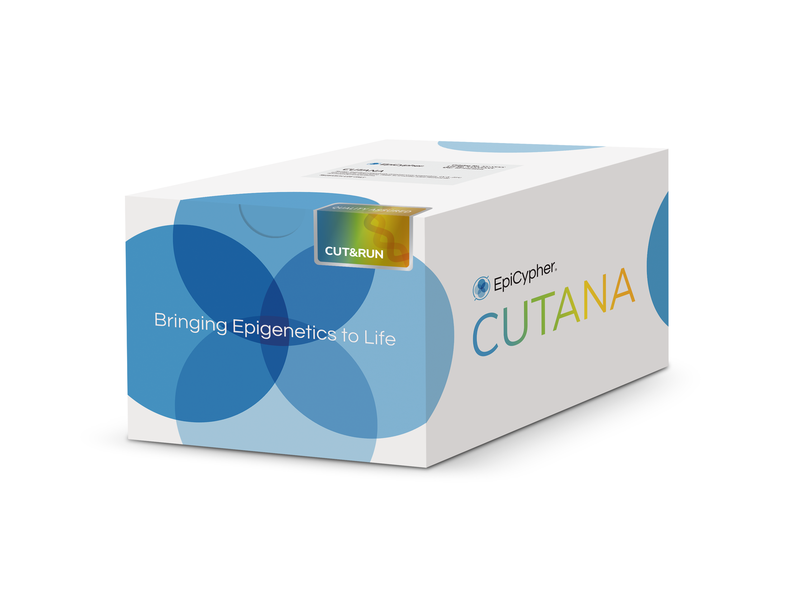 CUT&RUN Kit Box