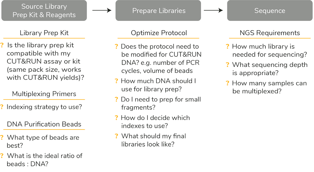 library-prep-kit-blog-figure-1