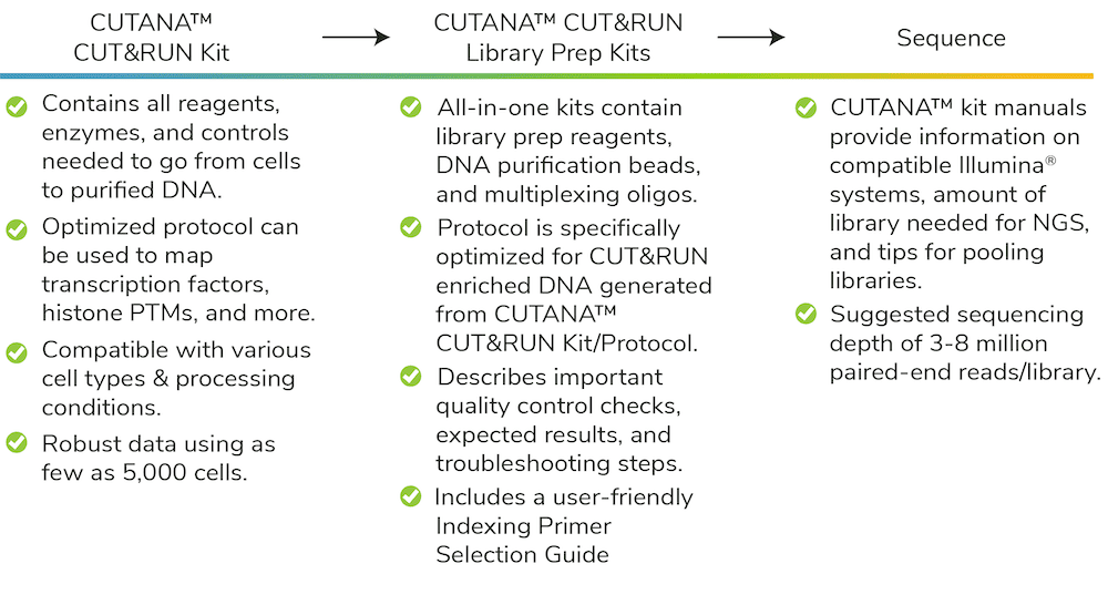 library-prep-kit-blog-figure-3