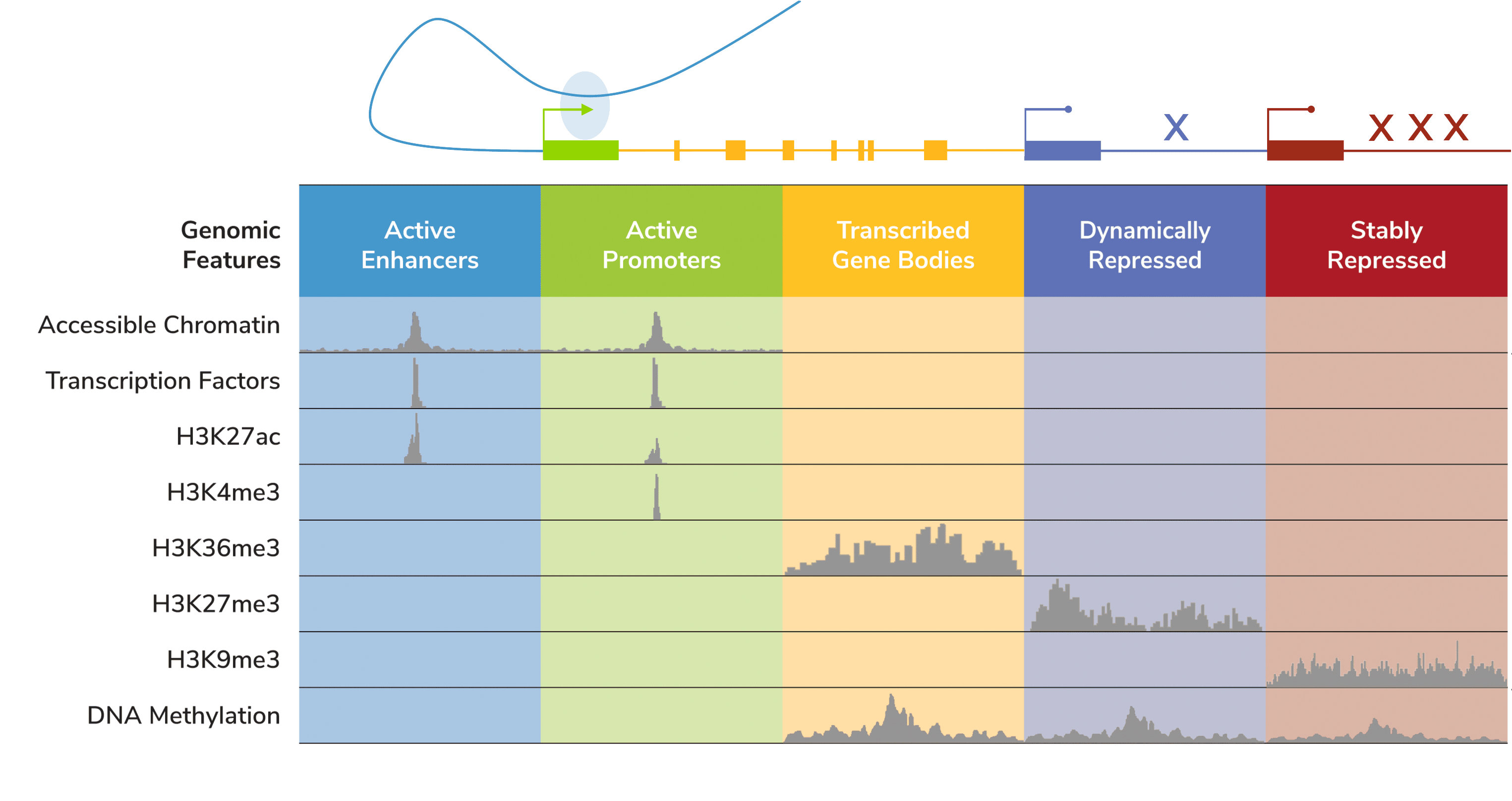 precision-med-blog-figure-2