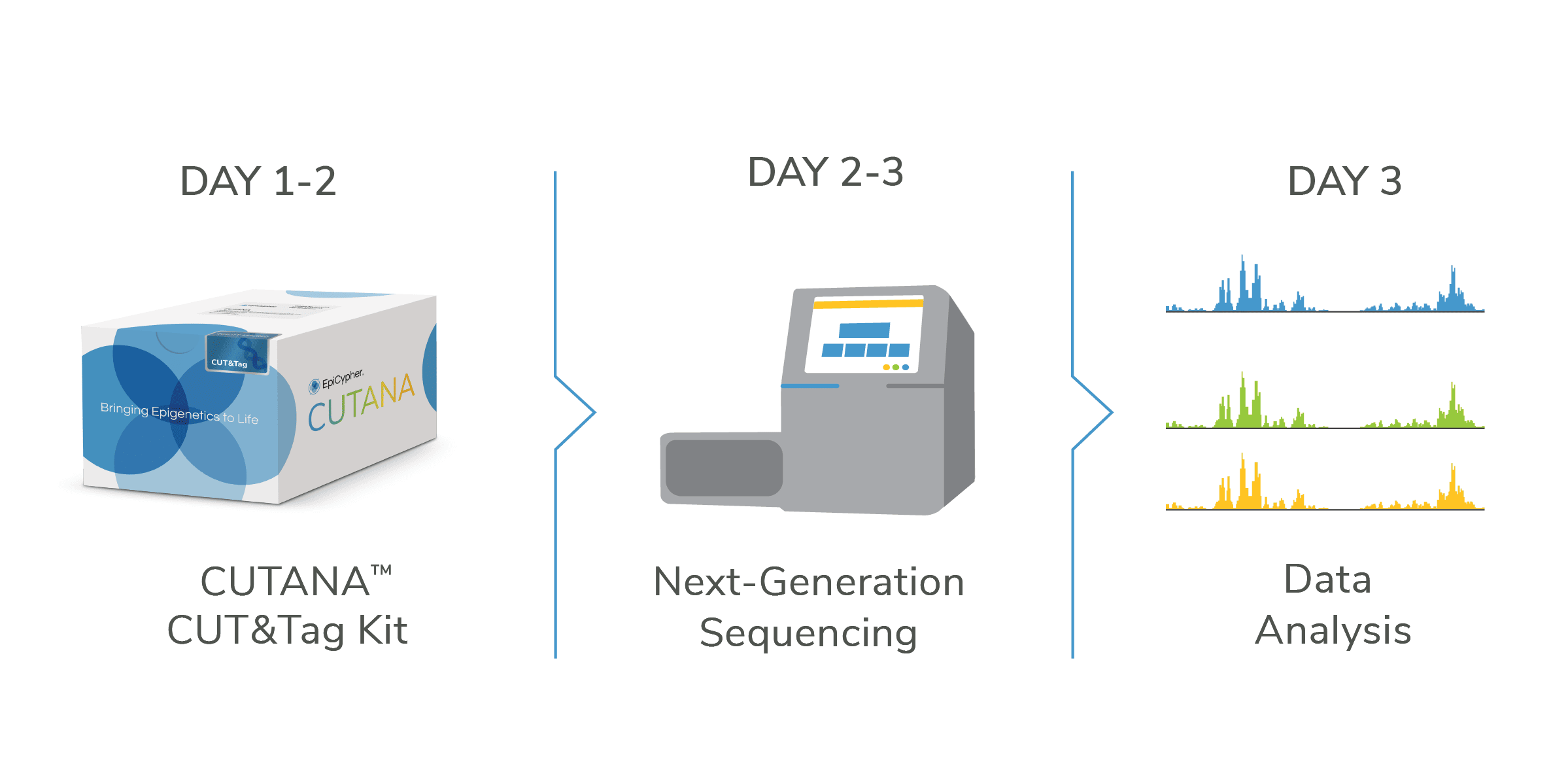 tag-timeline