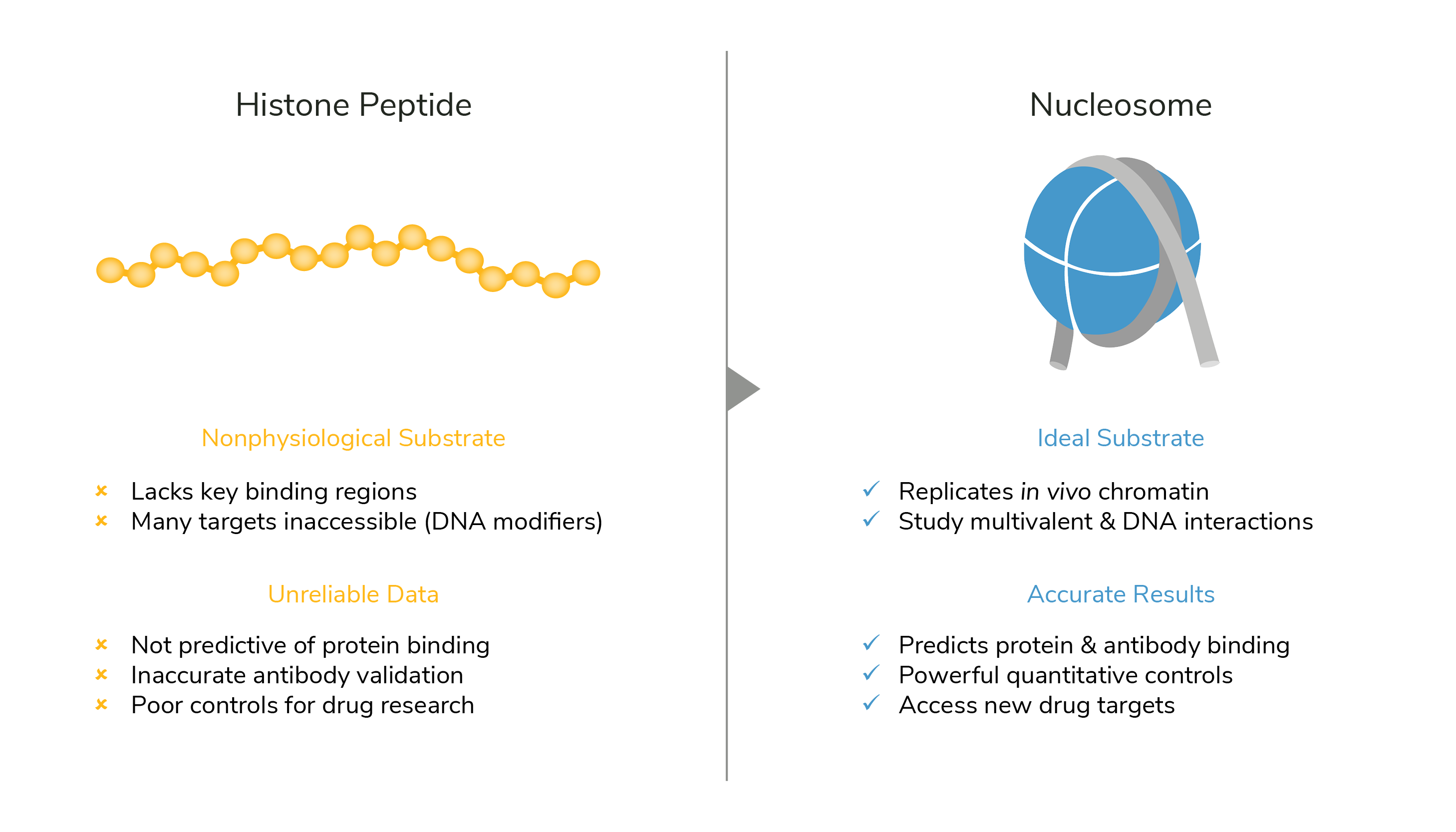 histone-peptides-graphic