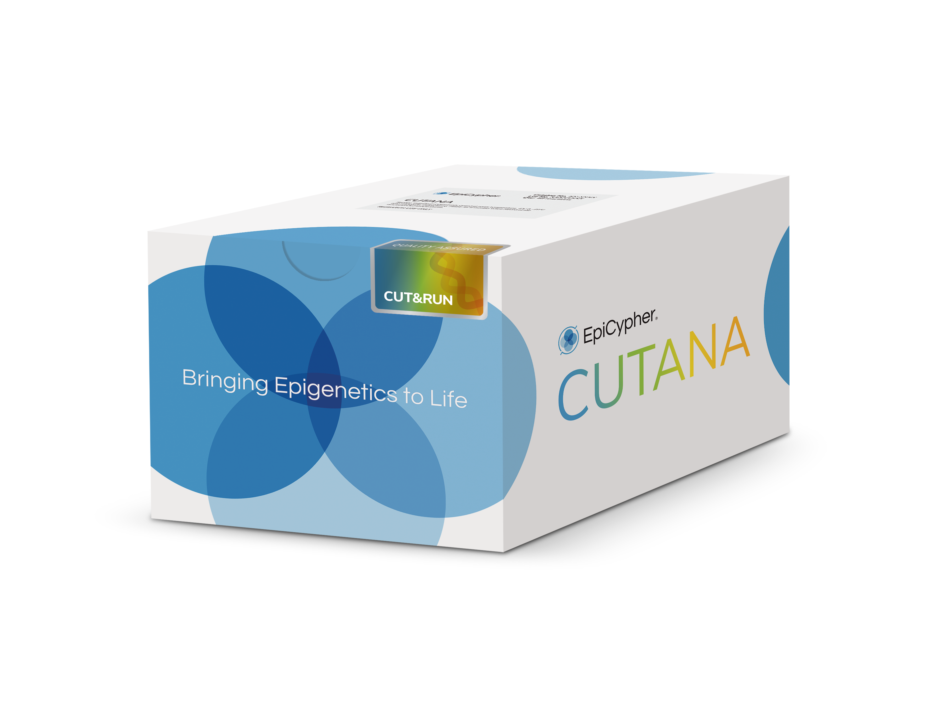 CUT&RUN Kit Box