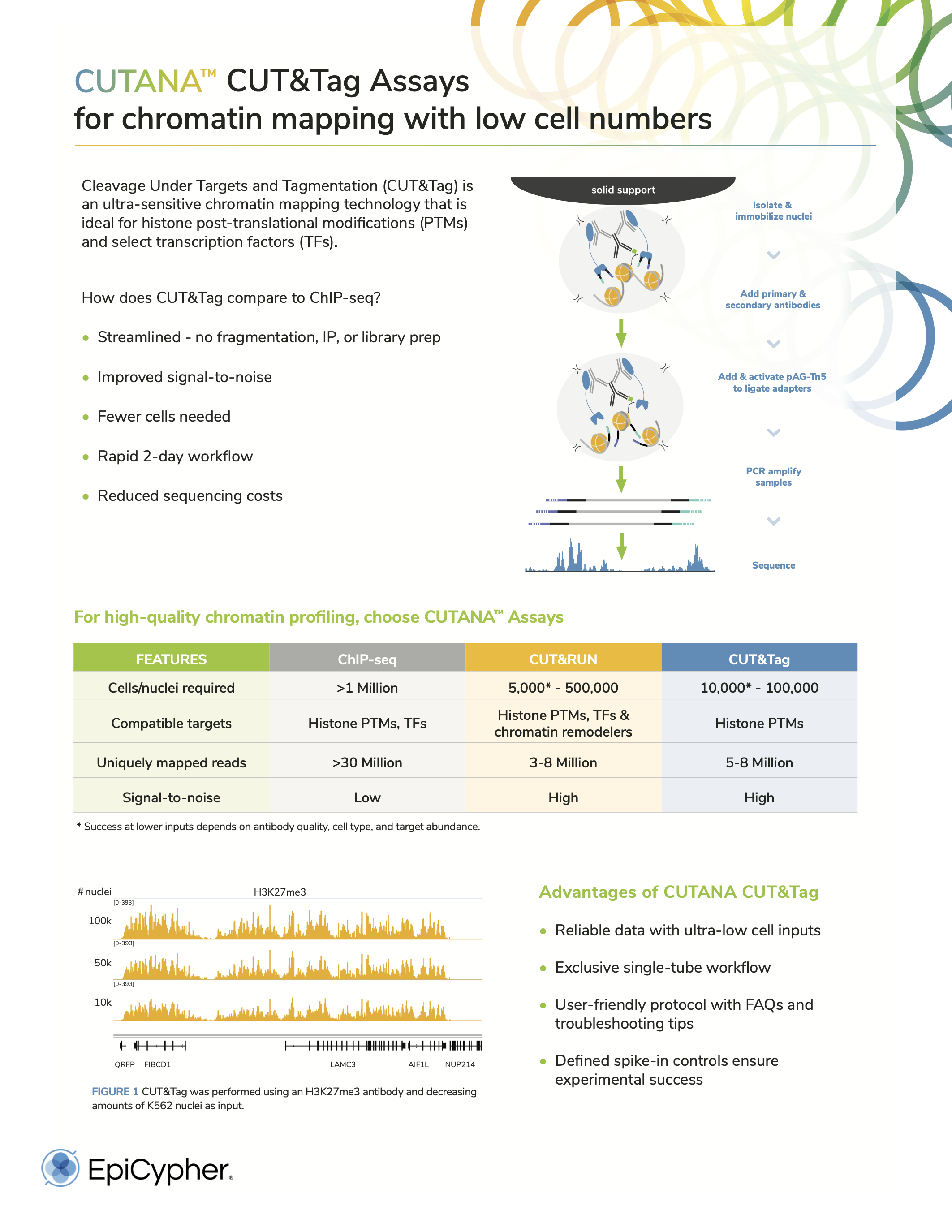 EpiCypher Recombinant Nucleosomes Brochure