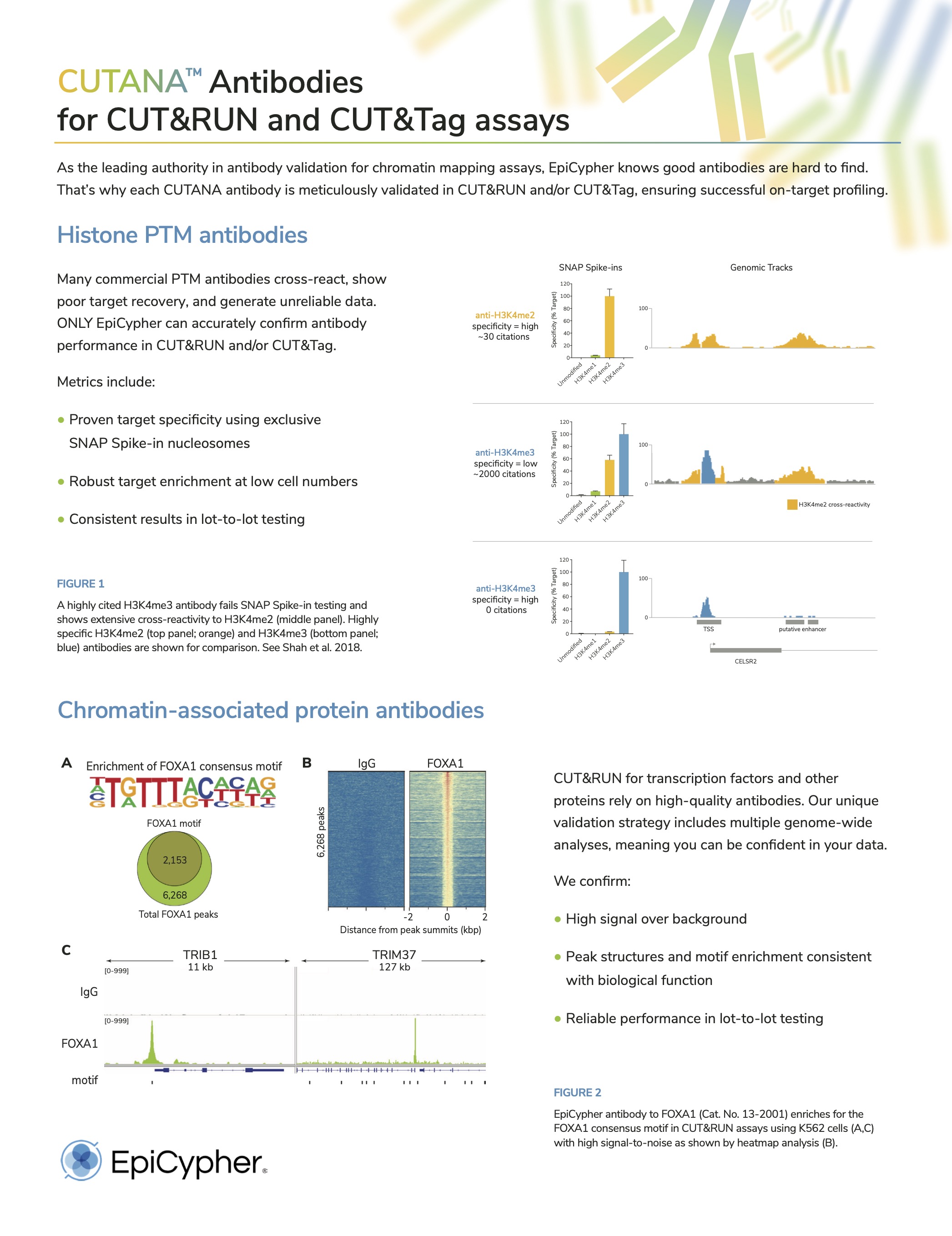 EpiCypher Antibodie complete list flyer Brochure