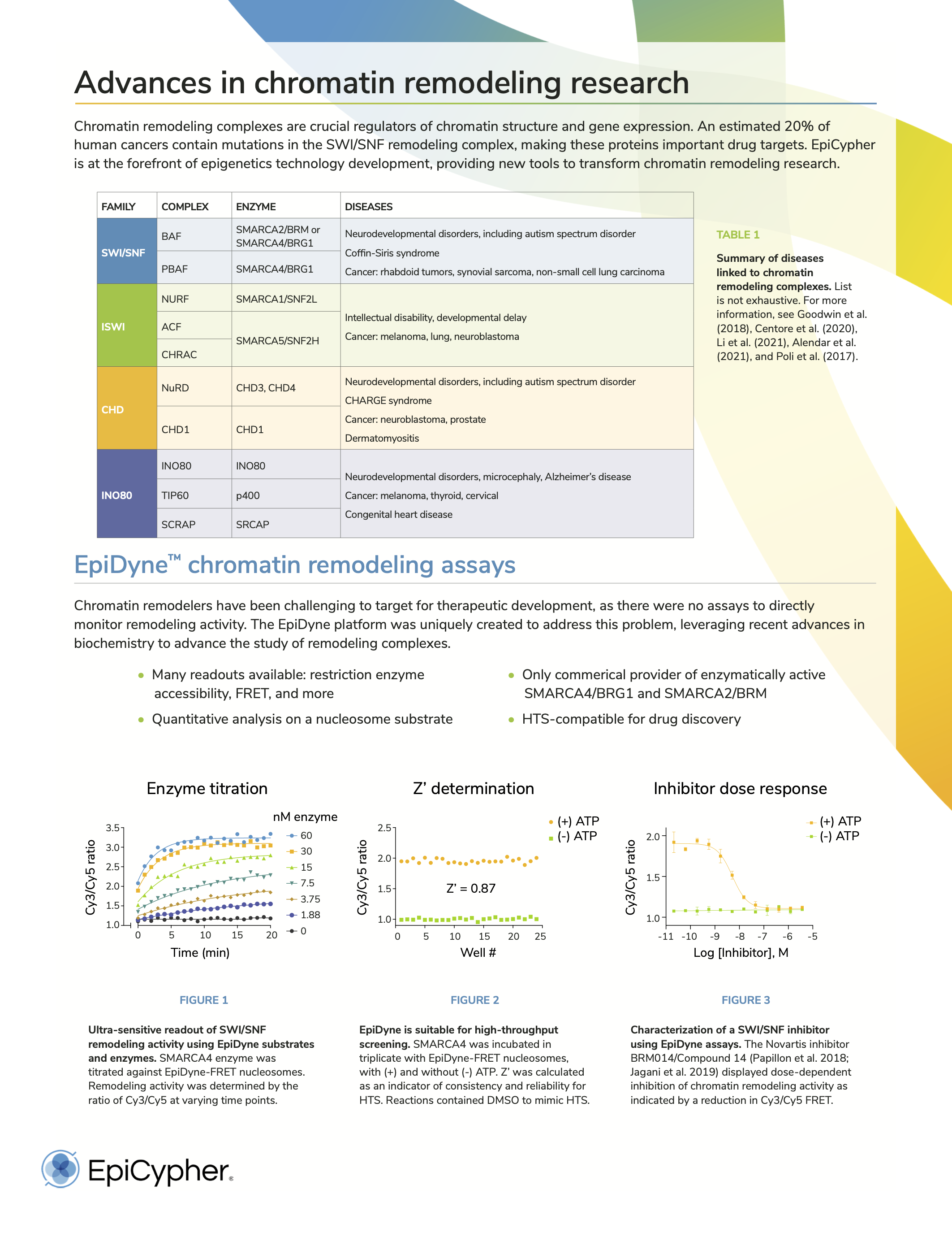 EpiCypher Recombinant Nucleosomes Brochure