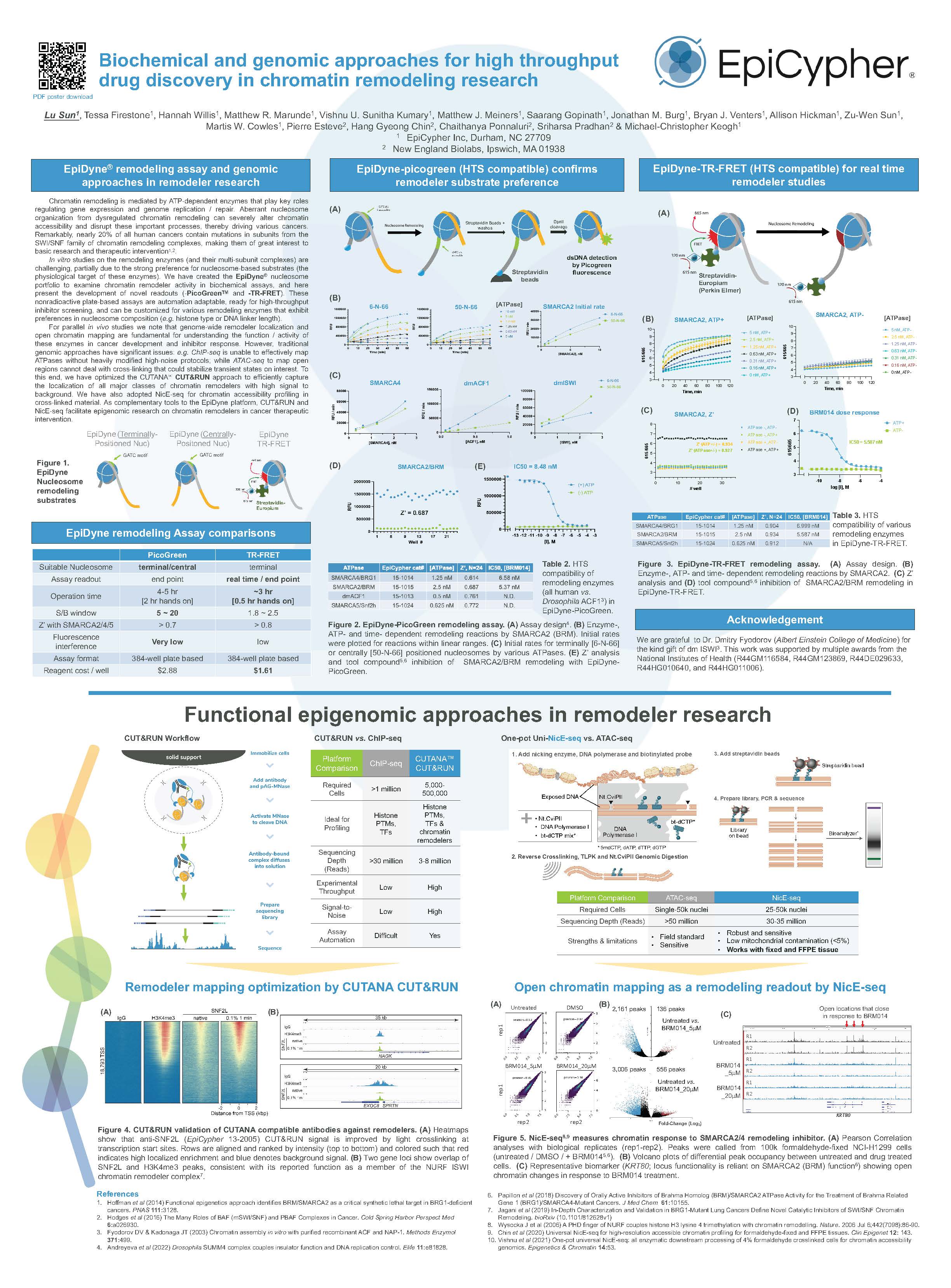 epidyne-poster