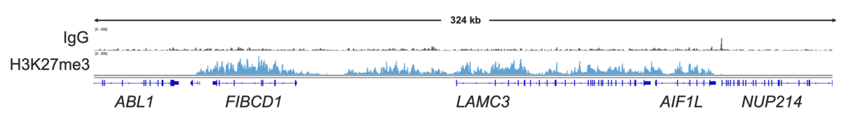 13-0047-cut-and-tag-data