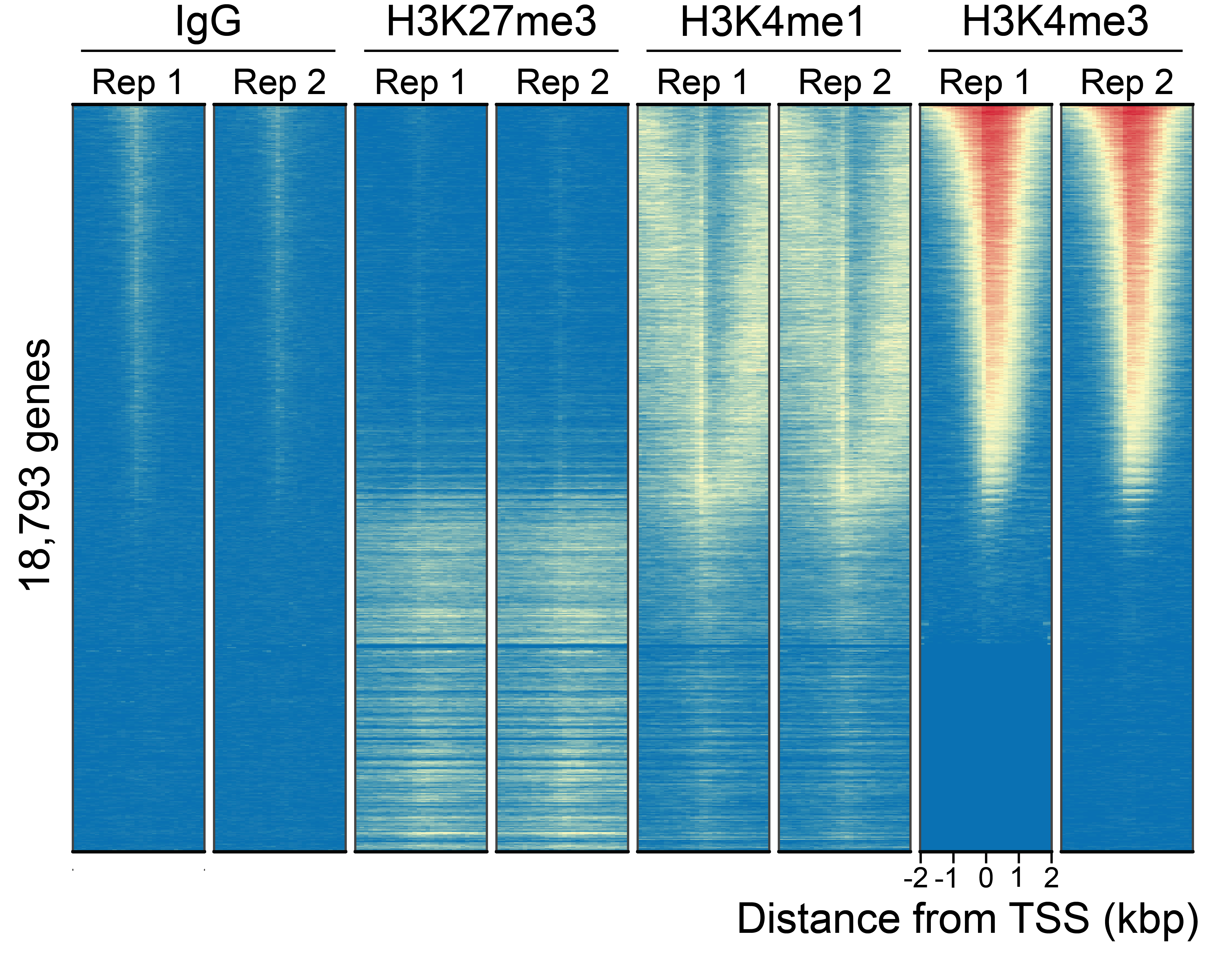 14-1102-genome-wide-heatmaps