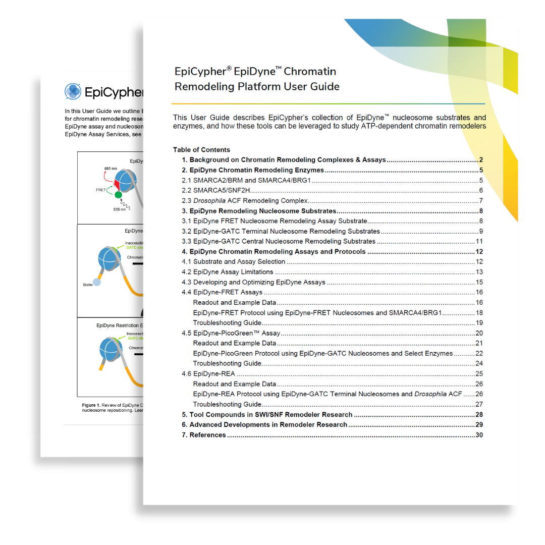 epidyne-guide-graphic