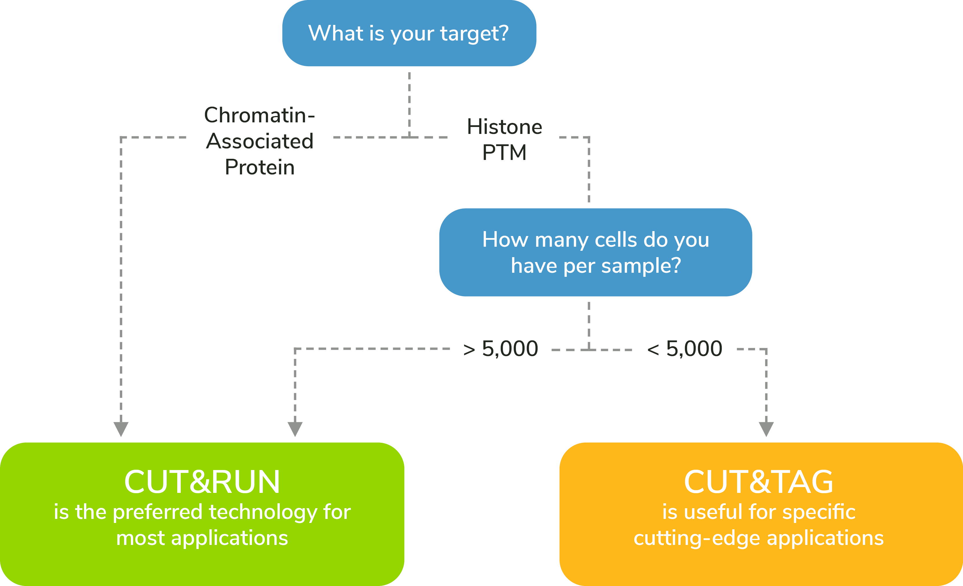 CUT&RUN or CUT&Tag: which approach is right for you?