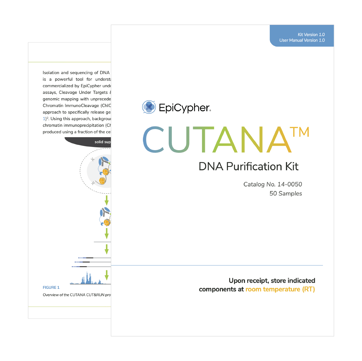 DNA Purification Manual Graphic RM