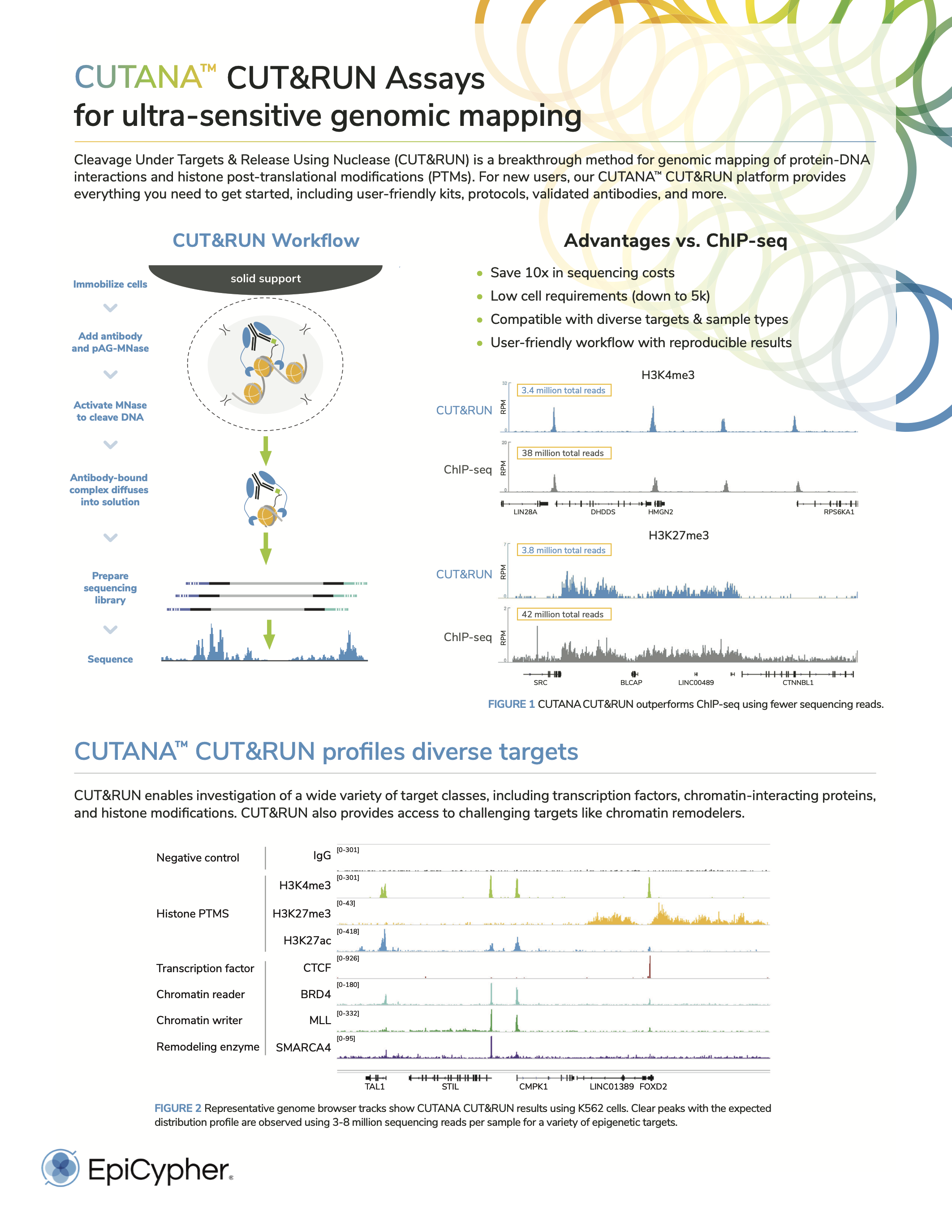 EpiCypher Recombinant Nucleosomes Brochure