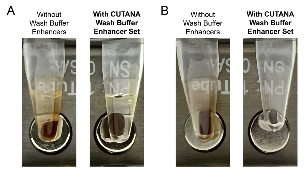 Images of tubes from CUT&Tag experiments showing better performance with the CUTANA Wash Buffer Enhancer Set