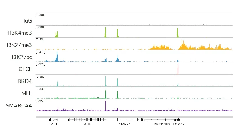 CUTANA CUT&RUN assays are compatible with diverse target classes