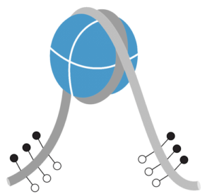 Long_tail_hemi-methyl_DNA__92953