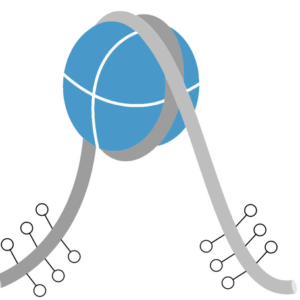 Long_tail_non_methyl_DNA__31800