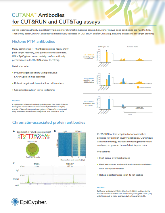 Antibodies_complete_list_flyer_1-1_web-pdf
