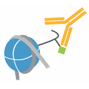 EpiCypher antibodies for histone post-translational modifications (PTMs), validated with defined spike-in controls for CUT&RUN, CUT&Tag, or ChIP-seq.