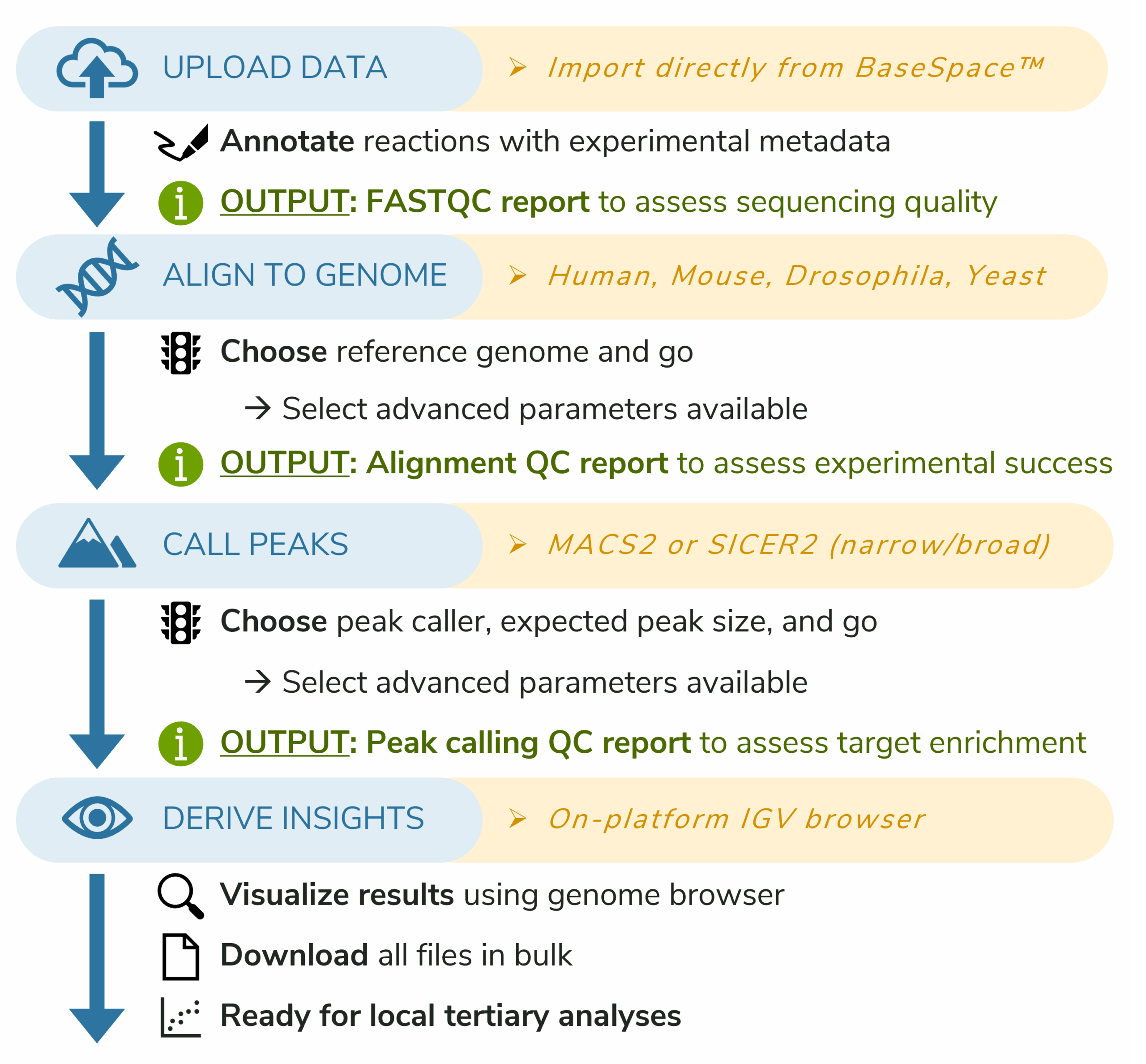 A graph of The CUTANA Cloud workflow, which consists of uploading data, aligning to genome, calling peaks, and deriving insights.