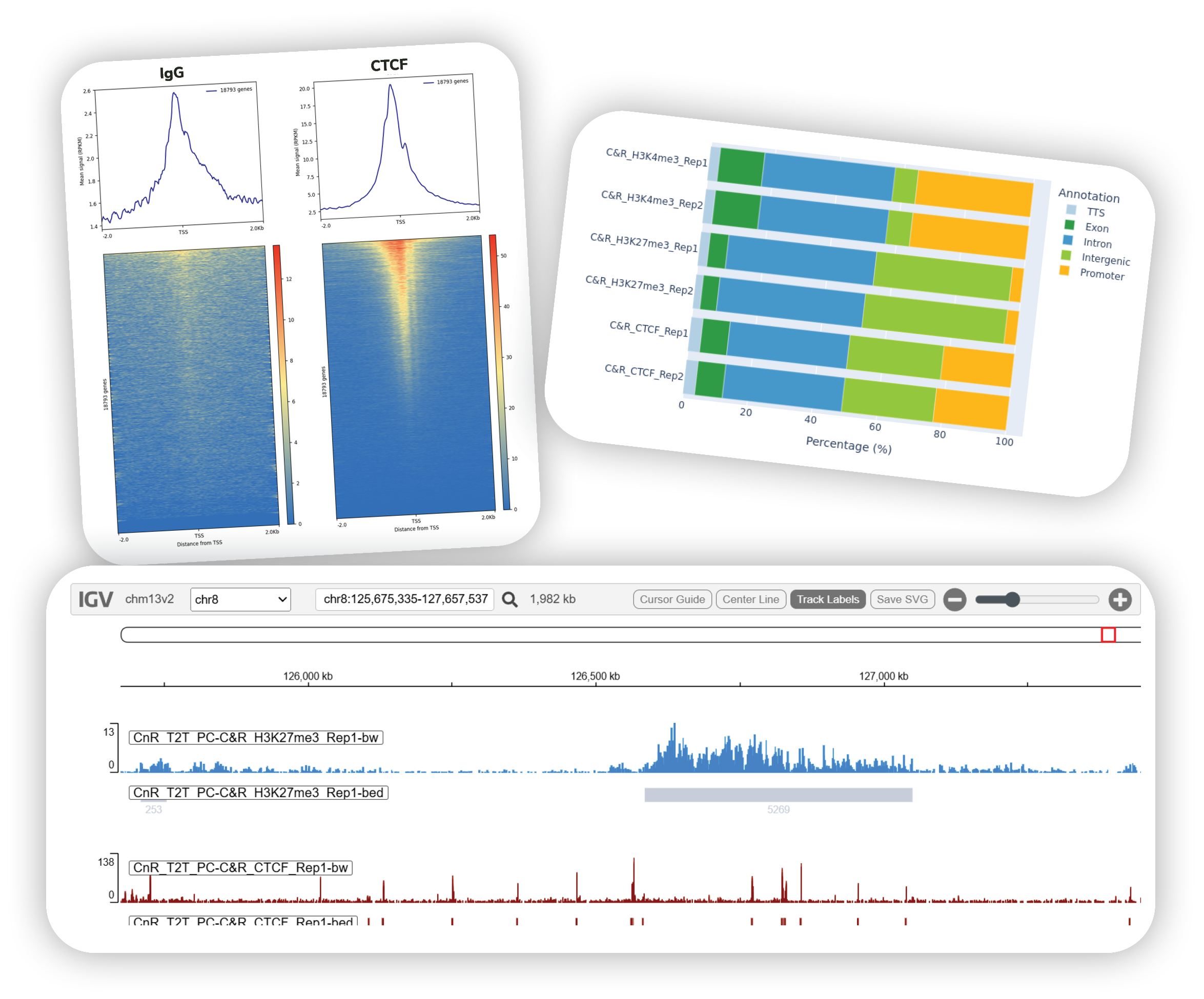A collage of datasets output from CUTANA Cloud.