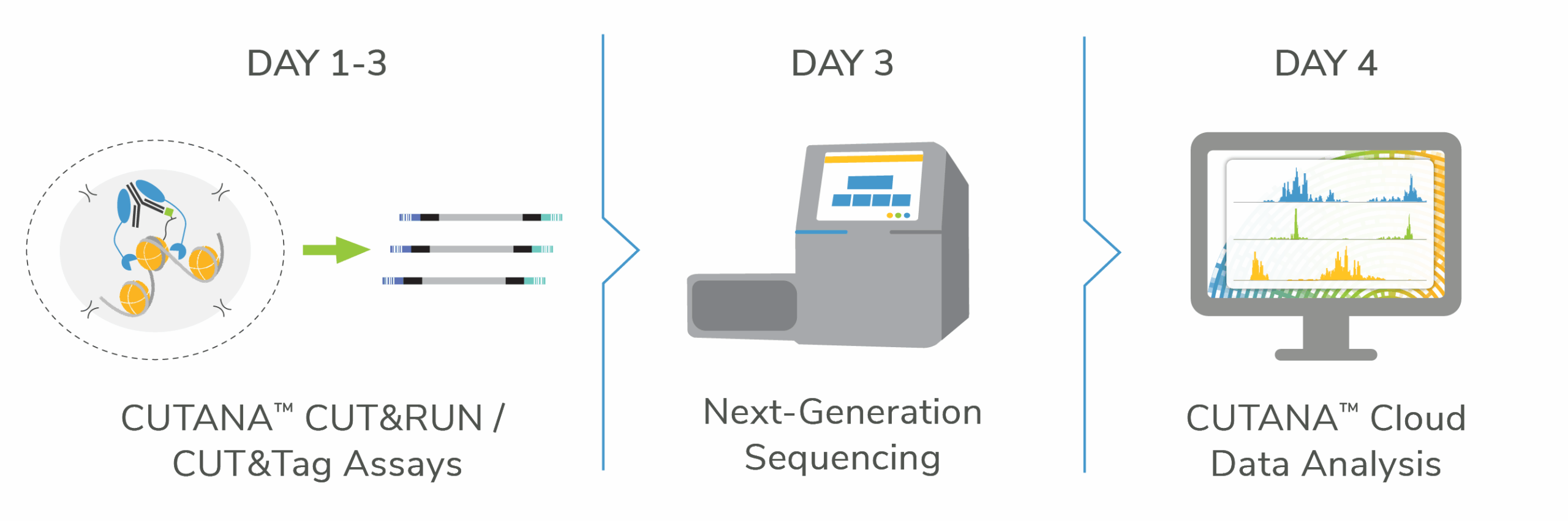 CUTANA Ecosystem - CUT&RUN and CUT&Tag are performed followed by sequencing. Data is analyzed using CUTANA Cloud