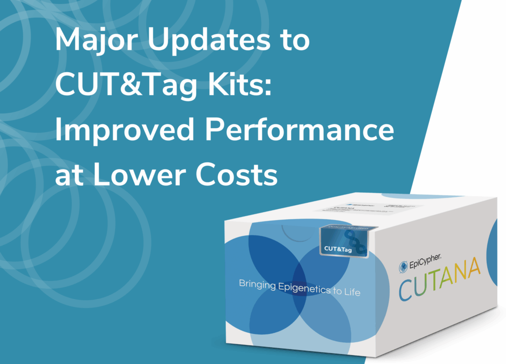 Major Updates to CUT&Tag Kits: Improved Performance at Lower Costs