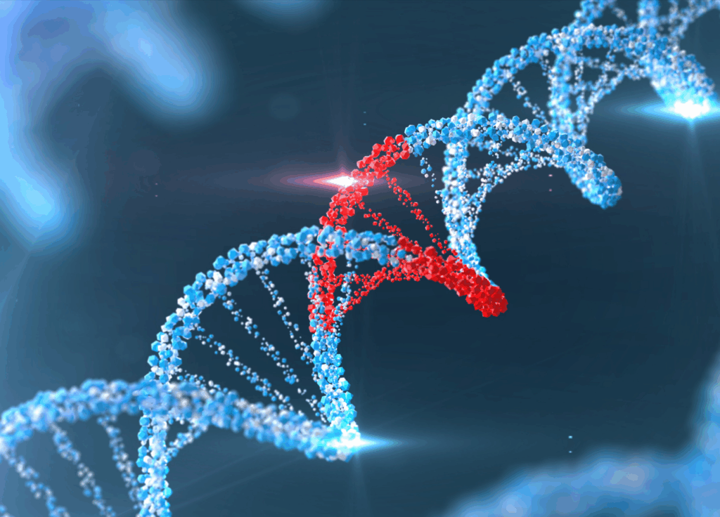 DNA Methylation -Multiomic CUT&RUN