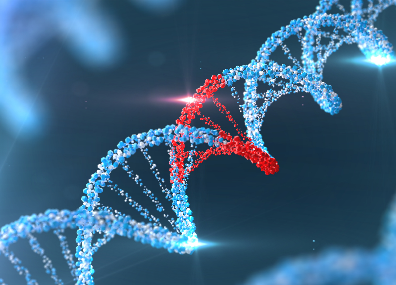 DNA Methylation -Multiomic CUT&RUN