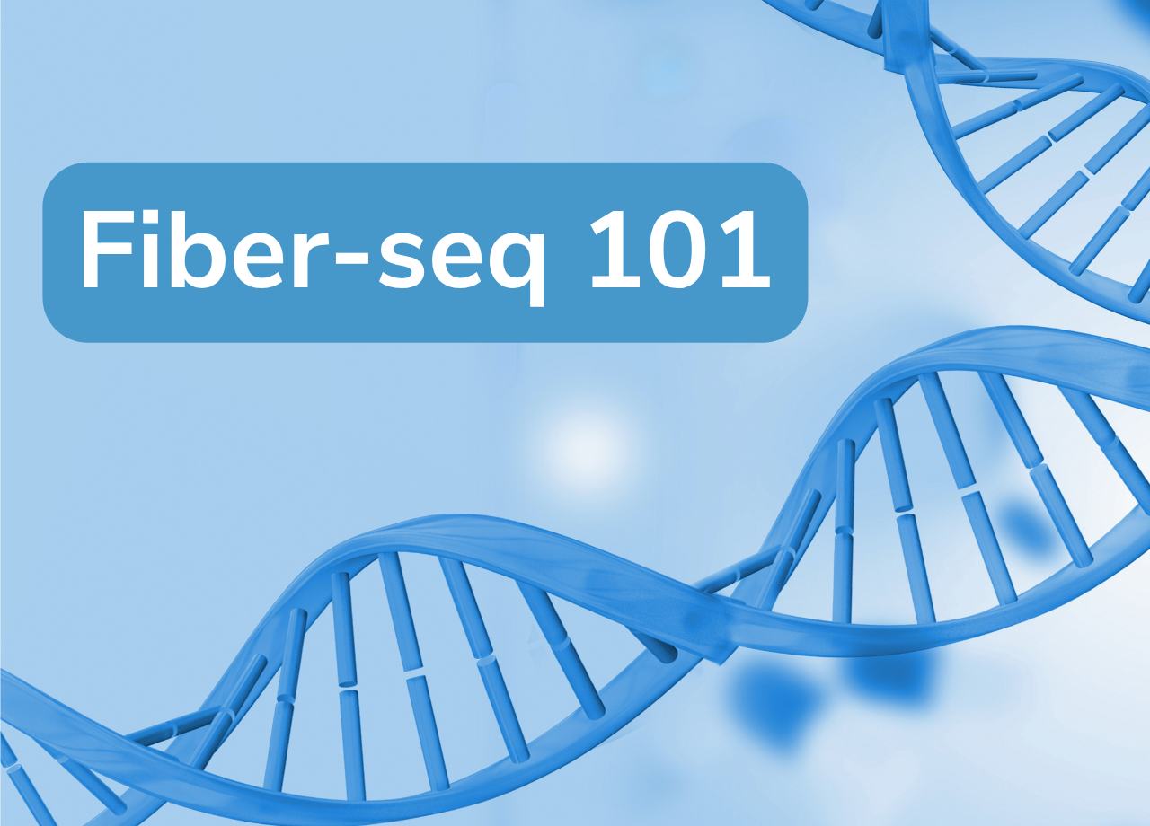 A DNA molecule and blog title: Fiber-seq 101