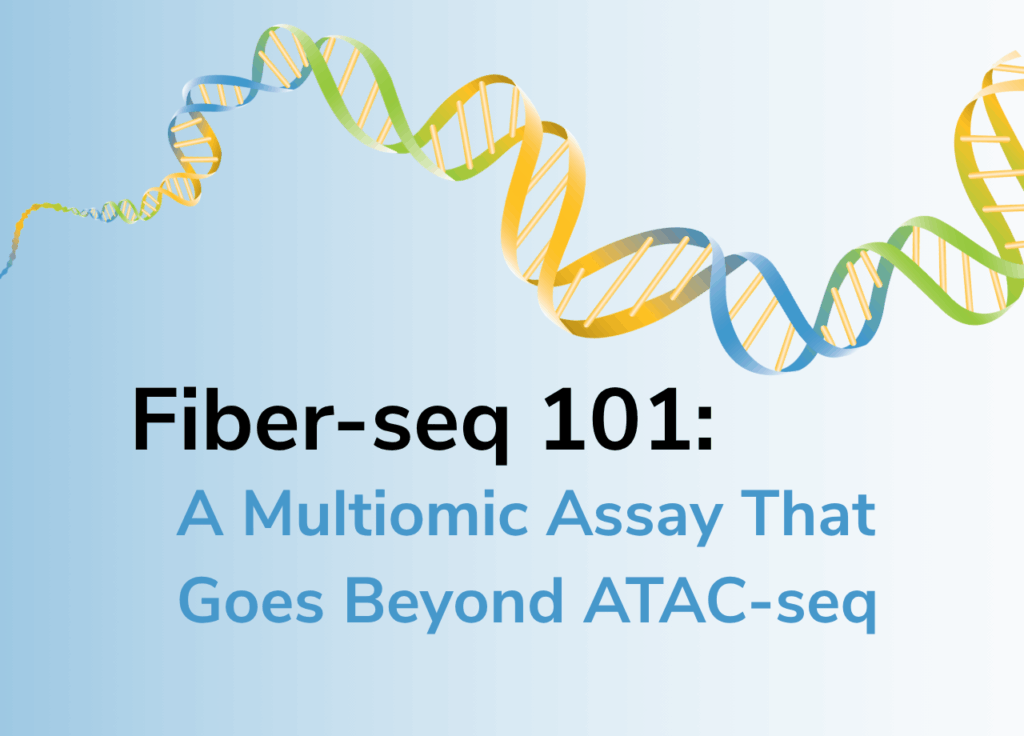 Fiber-seq 101 blog cover image, showing a DNA strand.