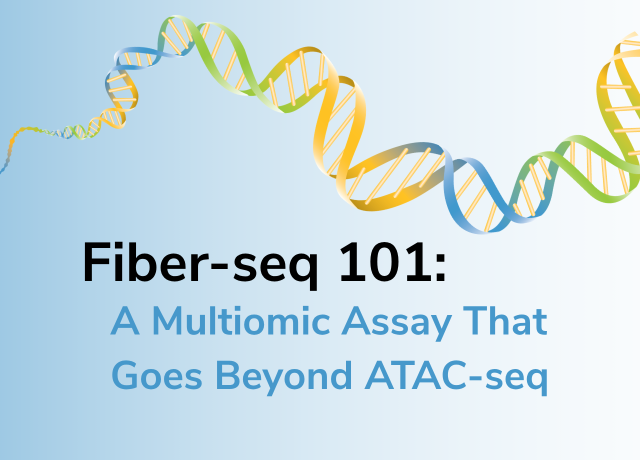 Fiber-seq 101 blog cover image, showing a DNA strand.