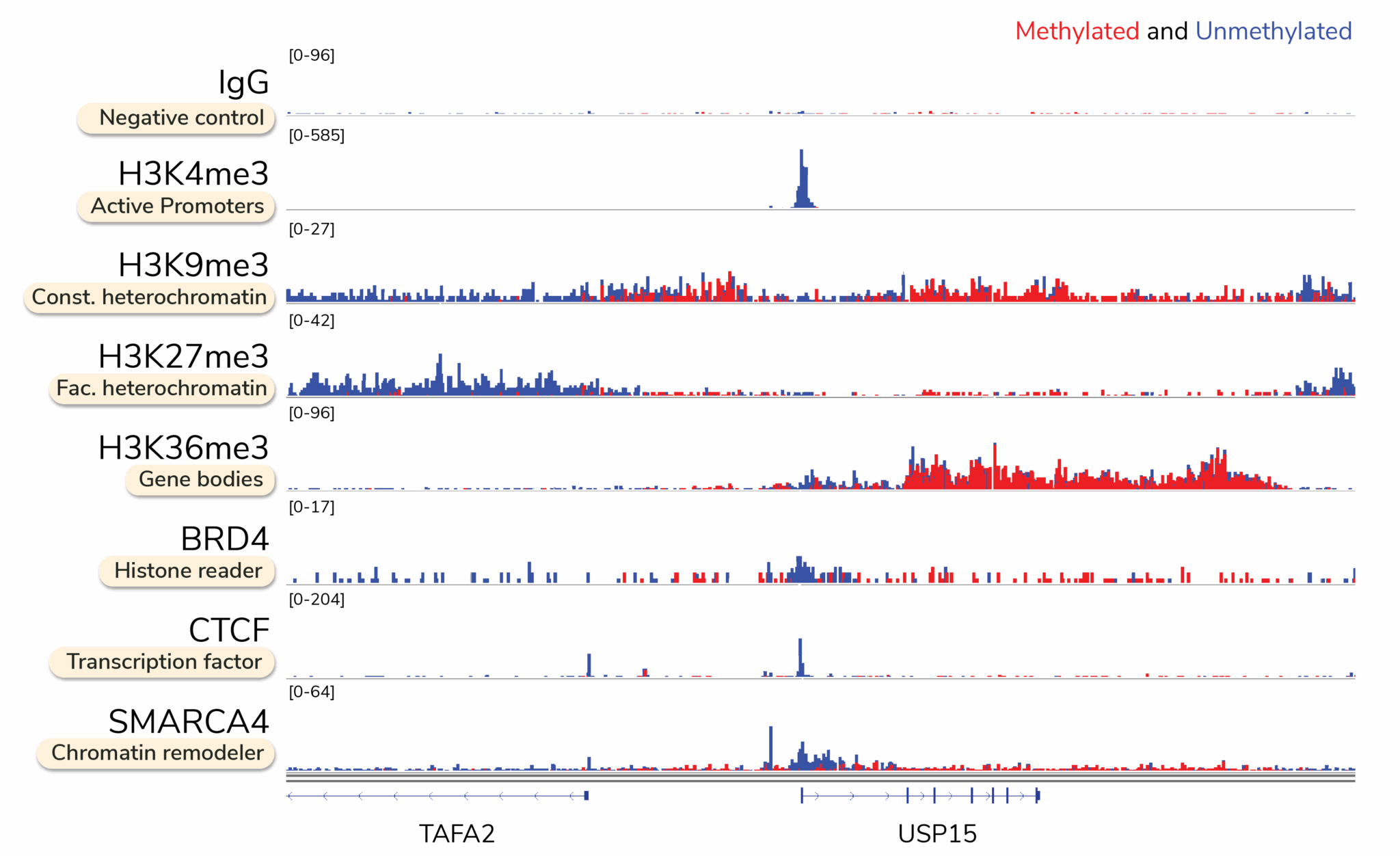 Multiomics Made Easy with CUTANA™ Multiomic CUT&RUN - EpiCypher