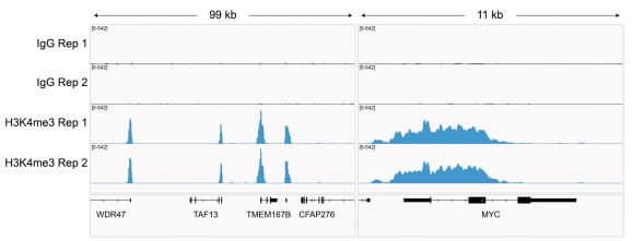 13-0042-browser-tracks
