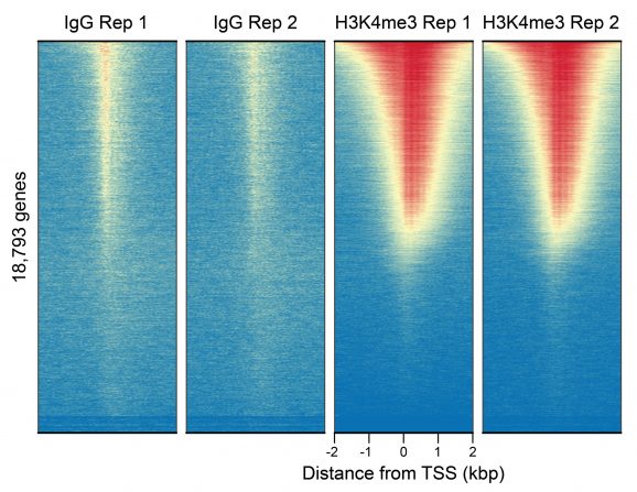 13-0042-heat-map