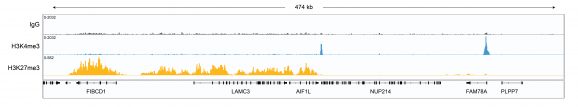 13-0047-cut-and-tag-data-1