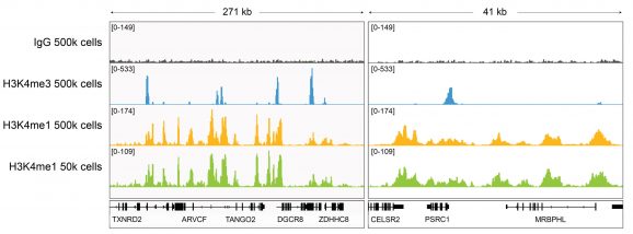 13-0057-cut-run-browser-tracks