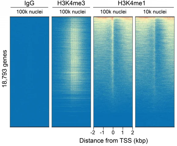 13-0057-genome-wide-enrichment