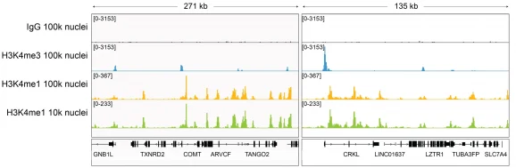 13-0057-representative-browser-t