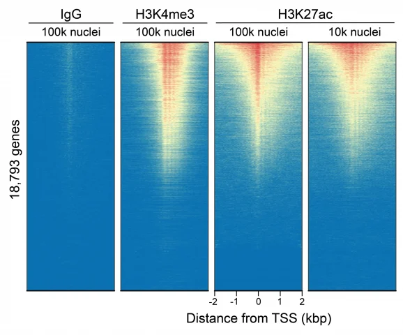13-0059_genome-wide_enrichment_c