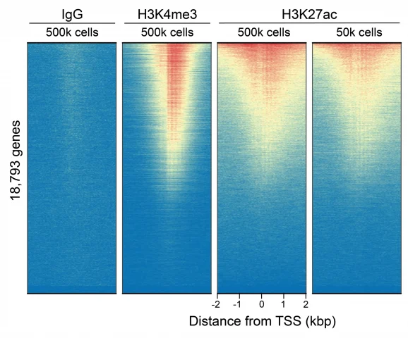 13-0059_genome-wide_enrichment_c