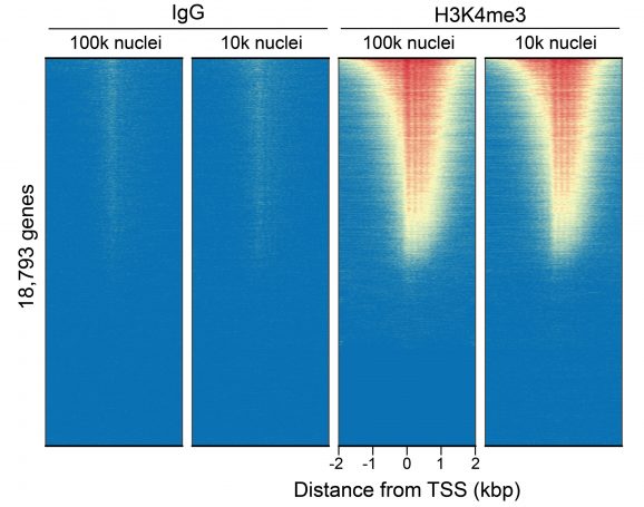 13-0060_genome-wide_enrichment_ct