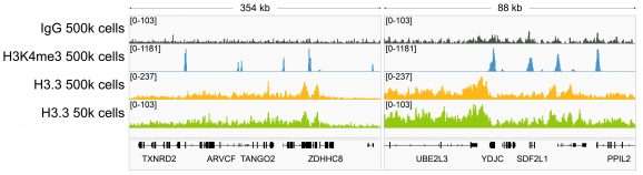 13-0061-cut-and-run-representative-browser-tracks