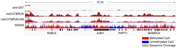 13-0073-gene-browser-tracks