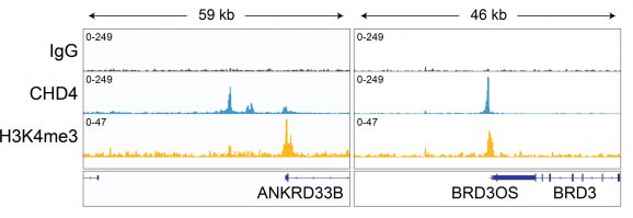 13-2016-representative-browser-tracks