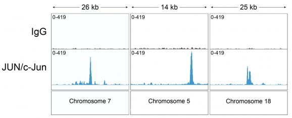 13-2019-representative-browser-tracks