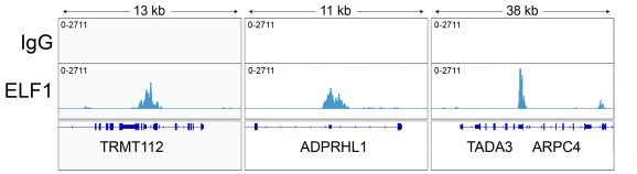 13-2023-representative-browser-tracks