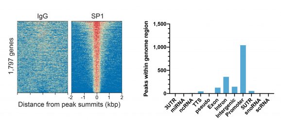 13-2024-sp1-peaks