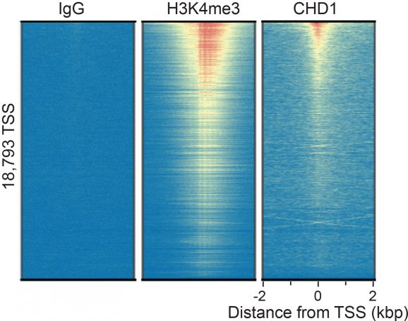 13_2008_Heatmap