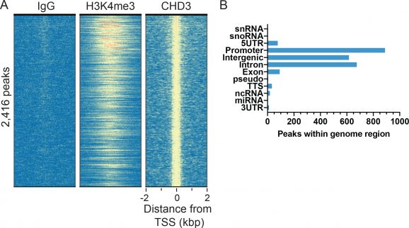 13_2009_CHD3_Heatmap